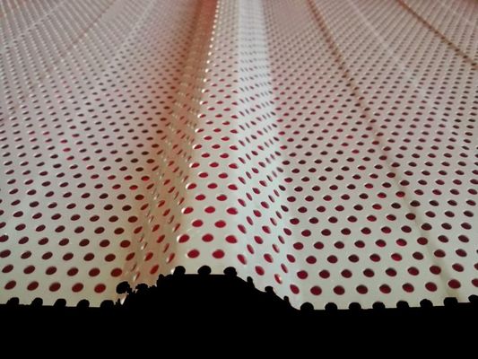 Galvanized Mesh Perforated Metal Sheet Aluminum Plate ODM
