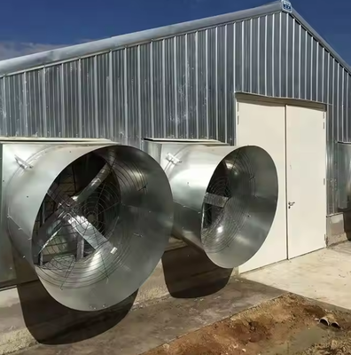 Prefabricated Steel Structure Poultry Farm Poultry Control Shed Construction Building For Chicken